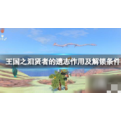 《塞尔达传说王国之泪》贤者技能介绍 贤者的遗志作用及解锁条件贤者的遗志作用