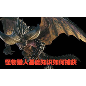 怪物猎人世界怎么捕获？全环境生物捕获位置介绍攻略