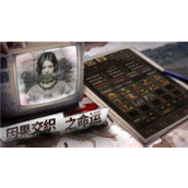 我在末世开超市新秩序怎么搭配阵容 我在末世开超市新秩序阵容搭配搭配攻略