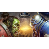 魔兽世界部落圣骑士选什么种族-魔兽世界部落圣骑士种族选择分享
