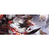 阴阳师灵神体带什么？