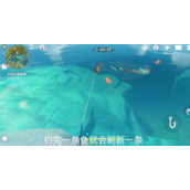 原神锖假龙一天能钓多少 原神锖假龙在哪钓