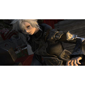 ff14logs国服怎么查看？logs国服查看方法介绍攻略
