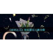 收纳达人生如夏花三星要怎么过-收纳达人生如夏花三星通关攻略