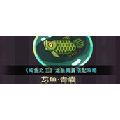 咸鱼之王龙鱼青囊怎么搭配-咸鱼之王龙鱼青囊搭配推荐攻略