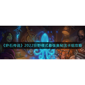 炉石传说2022狂野模式最强奥秘法卡是-炉石传说2022狂野模式最强奥秘法卡攻略