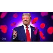 特朗普家族的WLFI代币会向所有人开放购买吗？