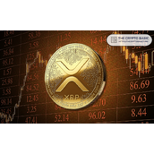 专家揭秘：如何在XRP投资中实现14倍回报