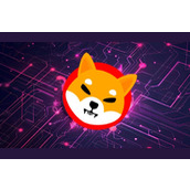 柴犬币（SHIB）流动性激增后的下一个价格目标
