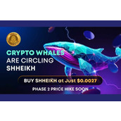 SHHEIKH代币在短短两周内暴涨——募资超300万美元且持续攀升