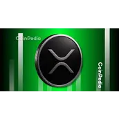 XRP价格新闻：顶级分析师预测XRP将迎来巨大反弹，目标价9至24美元