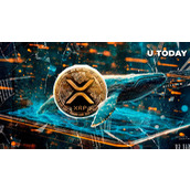 神秘5,175,112枚XRP大单突现主流去中心化交易所