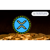 专家表示，如果你拥有1000枚XRP，你已经领先于大多数人了