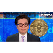以太坊未来十年最重要的宏观交易：Tom Lee