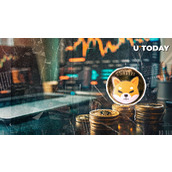 柴犬币（SHIB）：现在是长期持有，根本性转变