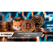 柴犬币（SHIB）空头被击溃，比特币（BTC）价格即将爆发，瑞波币（XRP）的机会来了