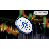 以下是卡尔达诺价格上涨50%时的价格，比上一个周期涨幅更小