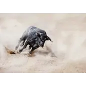 随着分析师称其为最明智的加密货币投资选择，XRP势头正劲