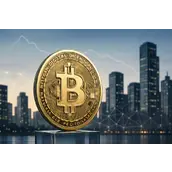 比特币流通速度对未来发展有什么影响？