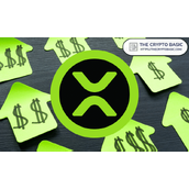 以下是1000美元在XRP发行时投资到现在的价值