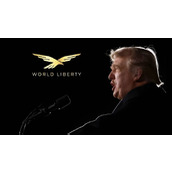 World Liberty Financial 拟募资 15 亿美元，盼打造「$WLFI 储备公司」