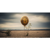 散户不买BTC了？链上小额比特币交易占比创2年半最低