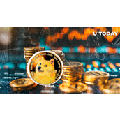 875%的狗狗币清算失衡，DOGE价格将暴涨？