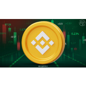 B 战略计划动用 10 亿 BNB 国库资金推动生态增长