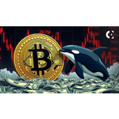 "绝佳积累区域"：分析师建议逢低买入比特币（BTC）暴跌