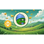 币安币（BNB）技术指标显示或上涨至1200美元，投资者在低价加密货币中发现7800%潜力
