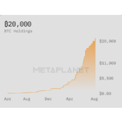 股价暴跌六成，Metaplanet优先股融资能否破局「下降螺旋」？
