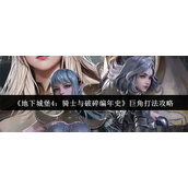 地下城堡4骑士与破碎编年史巨角怎么打-地下城堡4骑士与破碎编年史巨角打法攻略