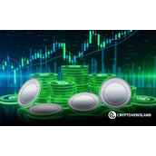 加密货币价格展望：狗狗币复苏、XRP波动以及币安币冲击新高