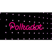 Polkadot DAO 通过提案！DOT 总供应量将固定在 21 亿枚