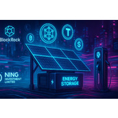 BlockRock 携手 Ning Investment，启动 2,000 万美元新能源 RWA 代币化