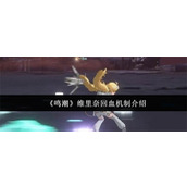 鸣潮维里奈回血机制怎么样-鸣潮维里奈回血机制介绍