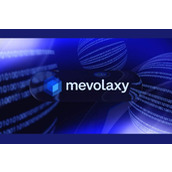 Mevolaxy的投资者通过新的mevjrv12算法获得创纪录的利润