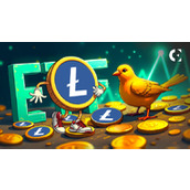 SEC在美国政府停摆期间人手紧缺，Canary Litecoin ETF被迫搁置