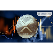 专家表示，纽约街头挑战显示XRP认知度低，但你仍为时不晚