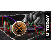 XRP持有者在价格暴跌50%的情况下并未恐慌