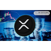 专家建议投资者关注XRP：原因如下