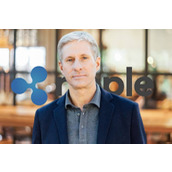 克里斯·拉尔森（Chris Larsen）震撼XRP大军，转移5000万枚XRP。以下是资金去向