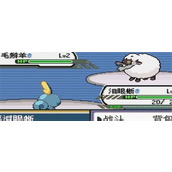 口袋妖怪剑盾gba火系道馆通关攻略及最新打法