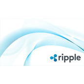 Ripple Prime:公司如何创下重大纪录以推动XRP账本发展