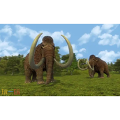 人类黎明兑换码是什么-人类黎明最新2025兑换码一览