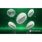 暴风雨前的宁静——下一季爆发前最值得购买的5种模因币