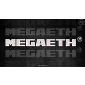 MegaETH首次代币发行在狂热竞标中吸金近10亿美元