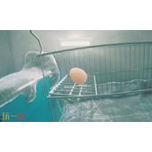 鸡蛋历险记兑换码是什么-鸡蛋历险记Egging-On兑换码大全