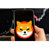 柴犬币遭遇熊市?专家揭示未来走势