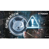 柴犬团队披露Shibarium关键安全更新：详情